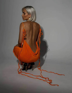 Orange Ari