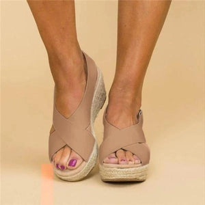 braun_donna
